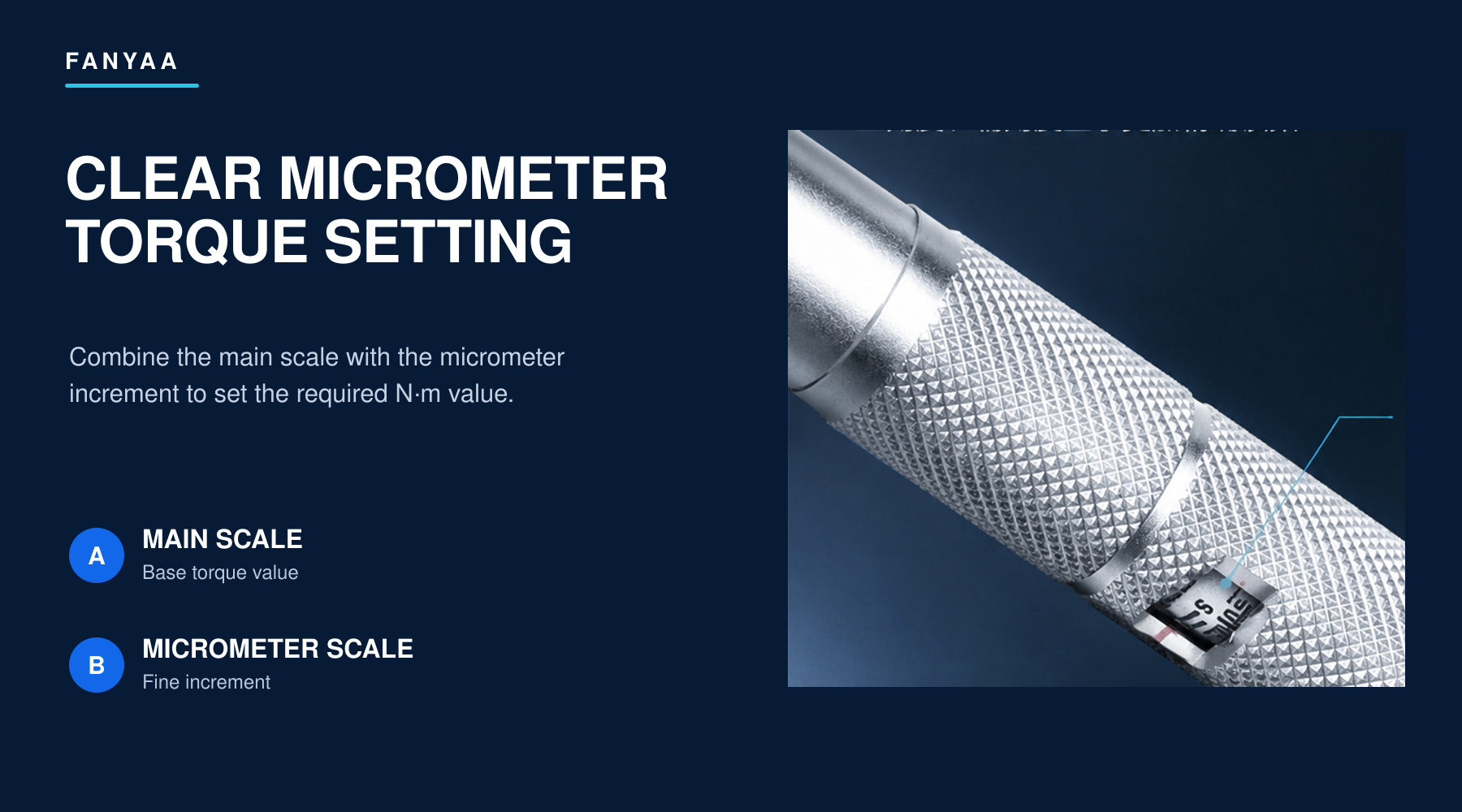 QL_detail_05_micrometer_scale.jpg